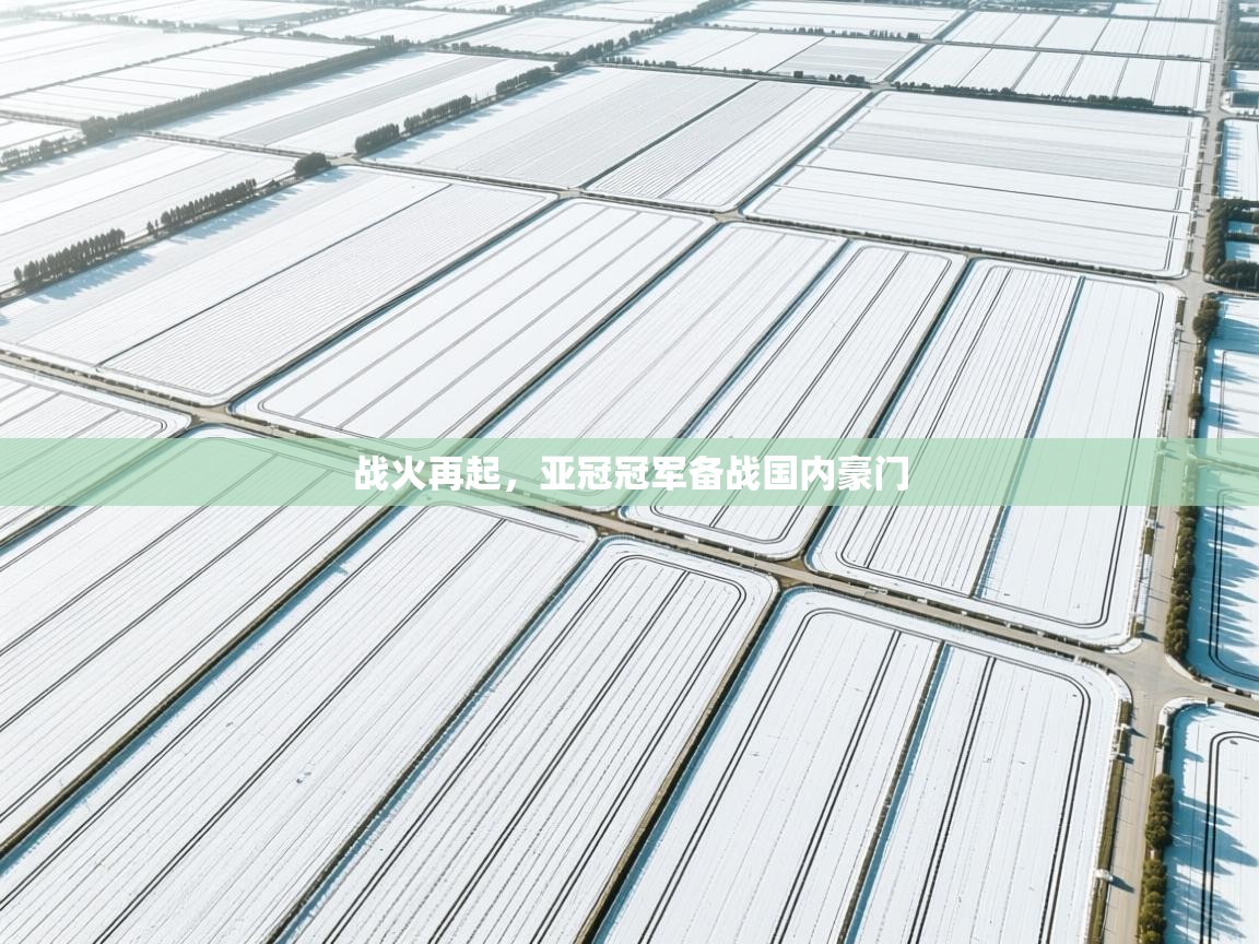 战火再起，亚冠冠军备战国内豪门