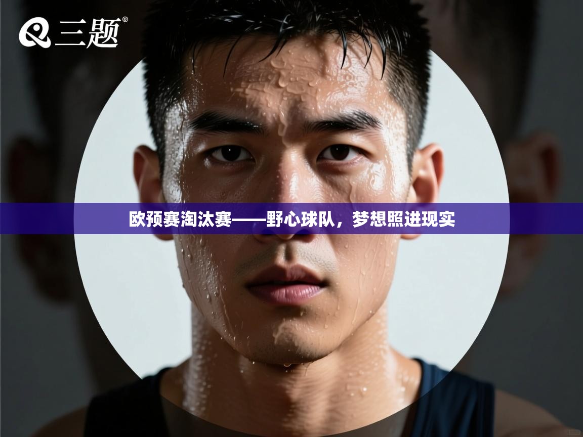 欧预赛淘汰赛——野心球队，梦想照进现实