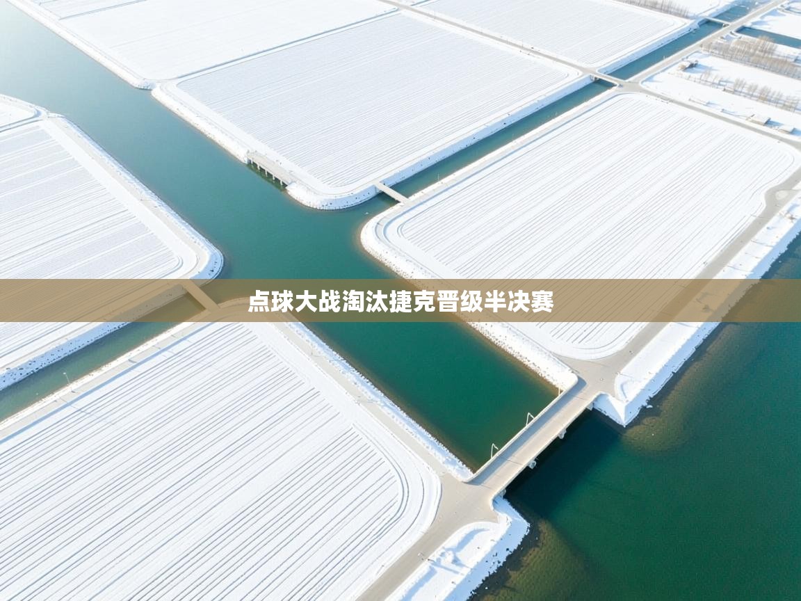 点球大战淘汰捷克晋级半决赛