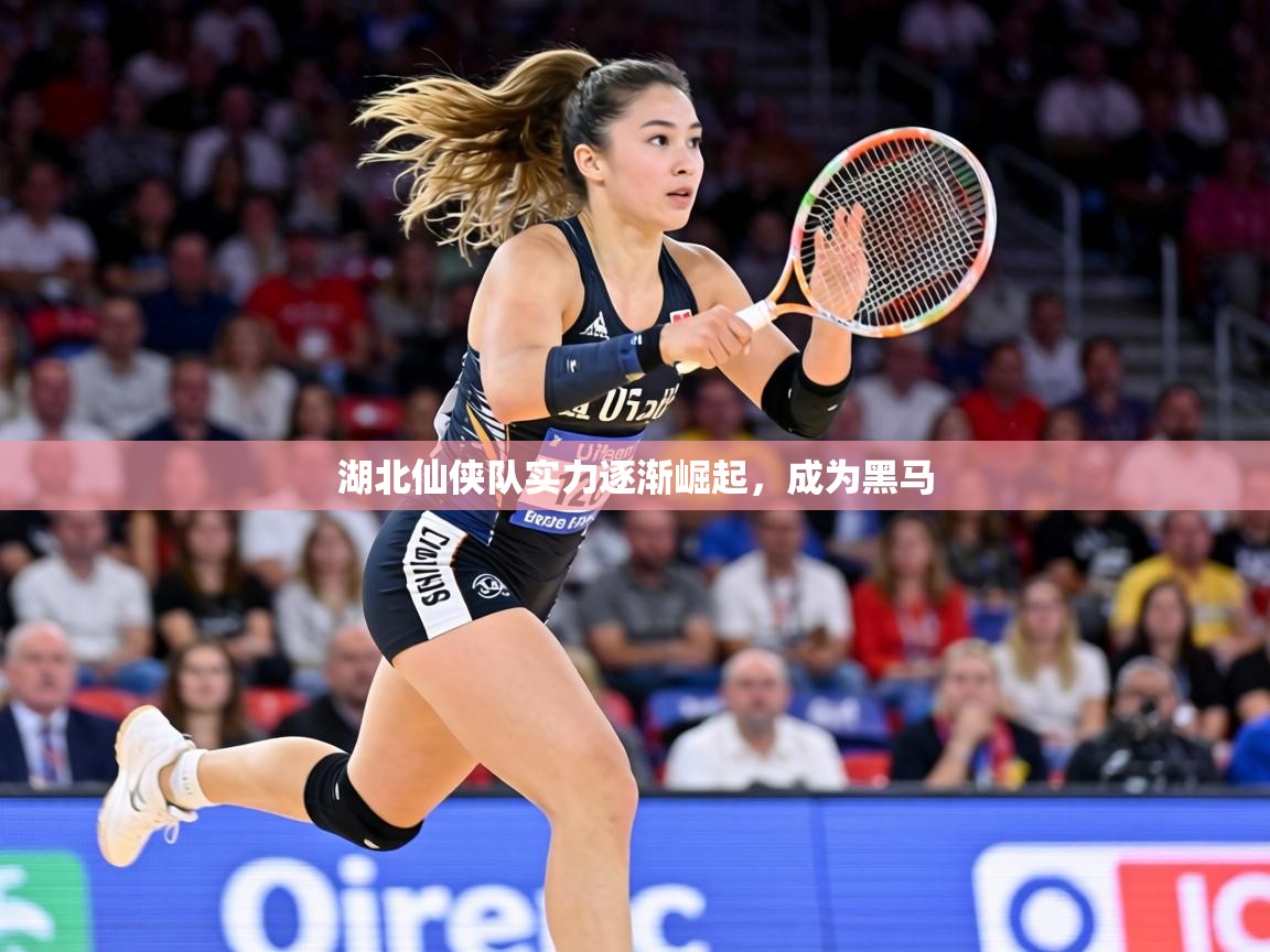 湖北仙侠队实力逐渐崛起，成为黑马